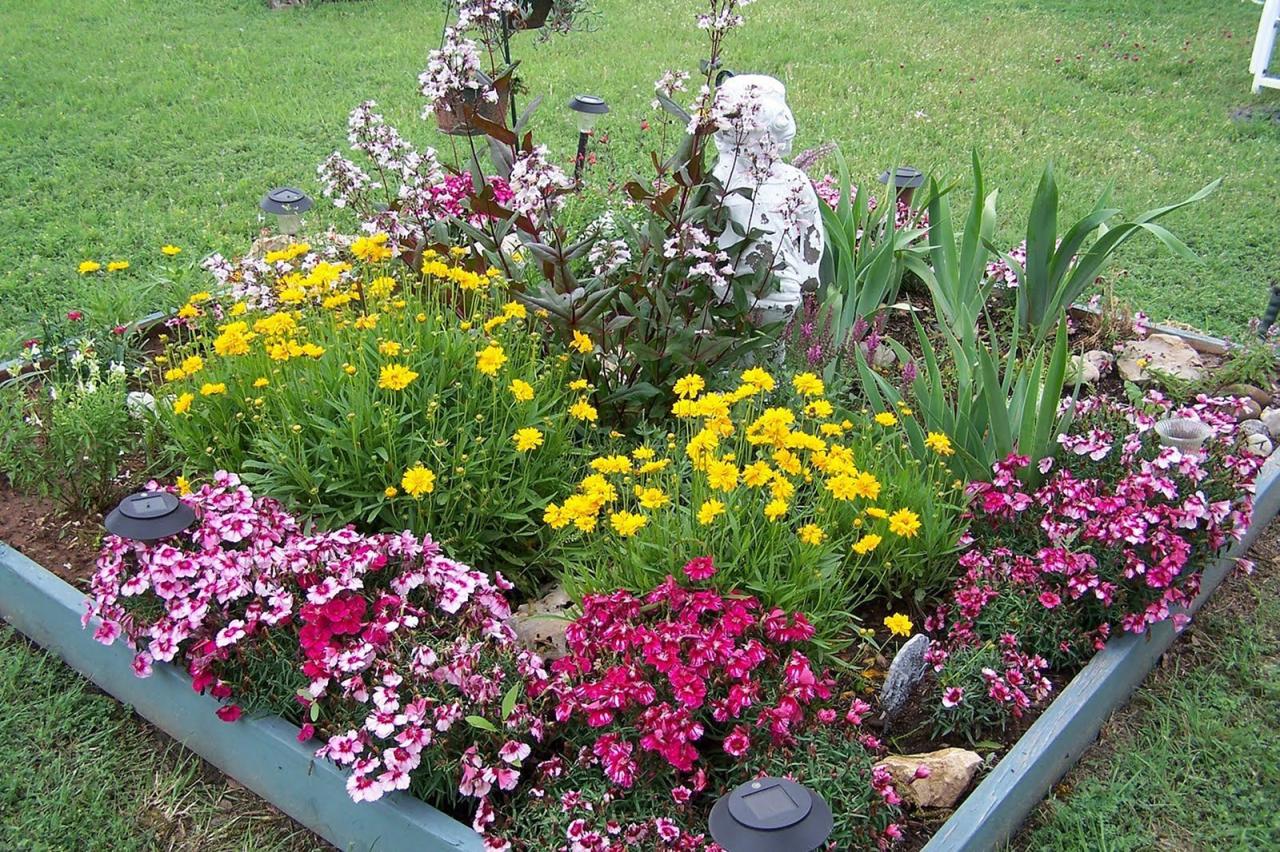 What Flowers Don’t Work Well in Raised Beds?