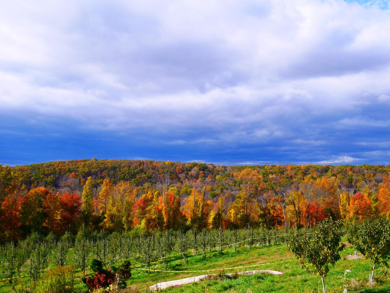 Discover Why Harvest Moon Orchard Is a Top Fall Destination