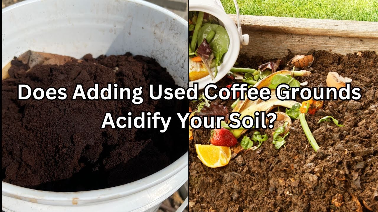 How Coffee Grounds Improve Drainage in Potting Soil